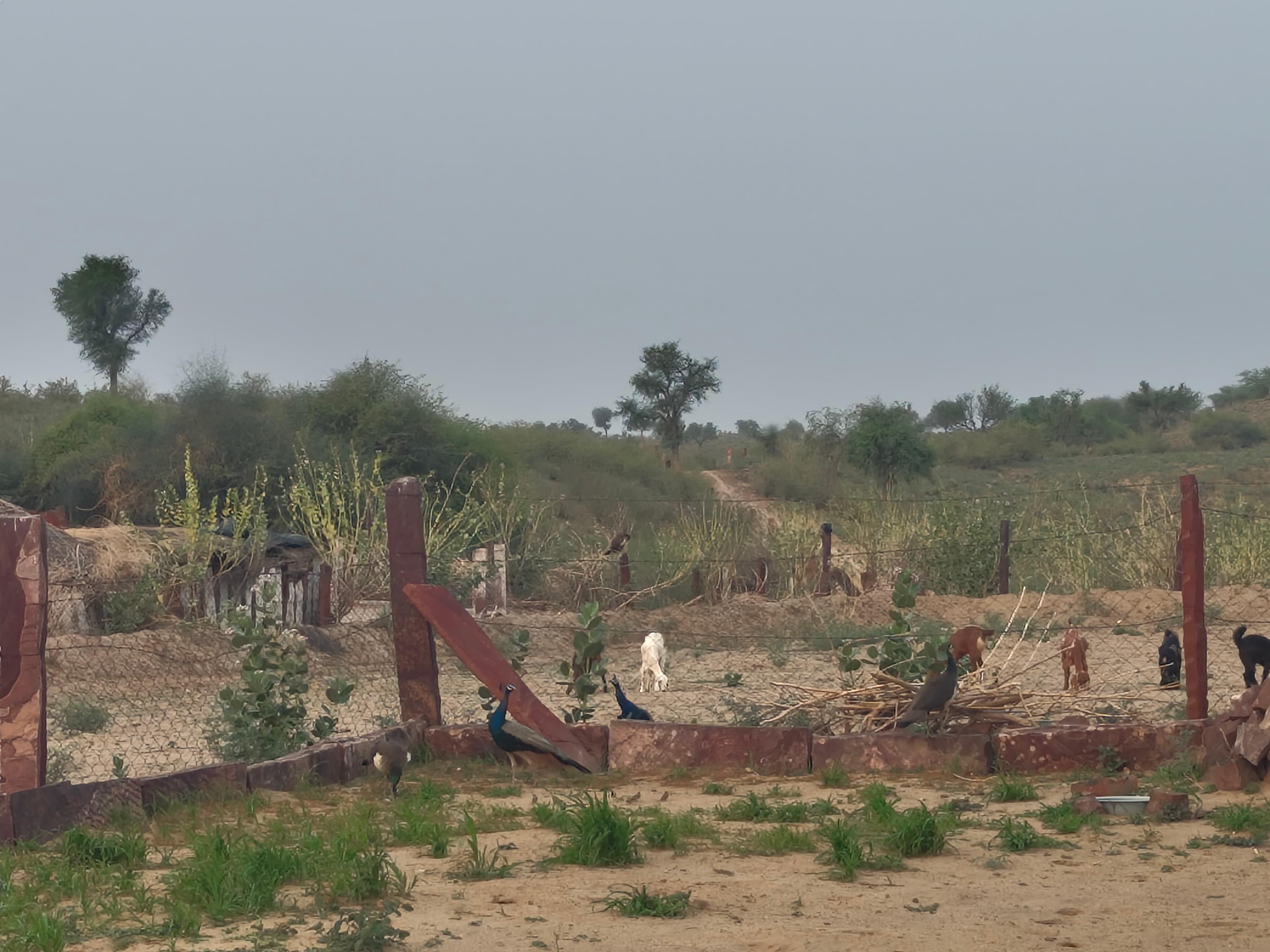 An image from the Jaal Yantra Textiles company gallery